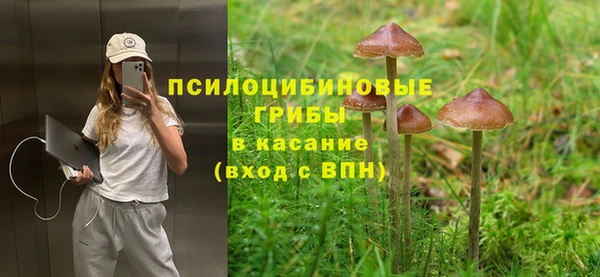 стаф Алексеевка